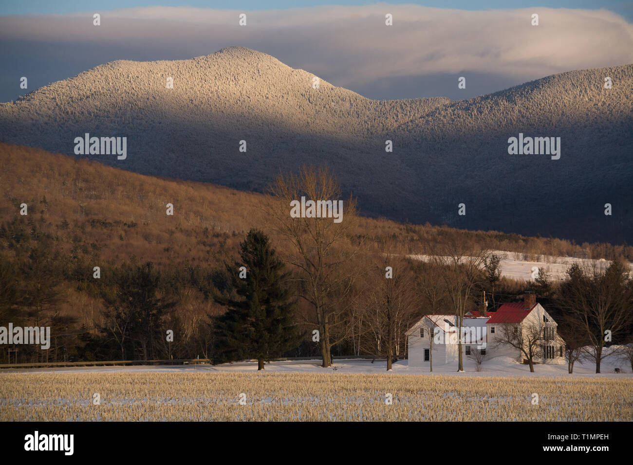 Cambridge Vt High Resolution Stock Photography and Images - Alamy