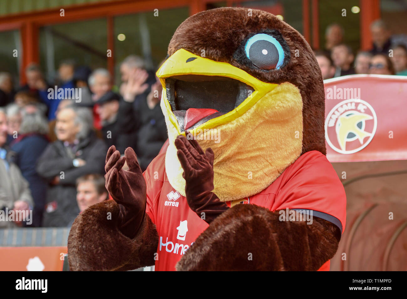 23rd March 2019, Bescot Stadium, Walsall, England; Sky Bet League One, Walsall vs Barnsley ; Walsall Mascot   Credit: Gareth Dalley/News Images  English Football League images are subject to DataCo Licence Stock Photo