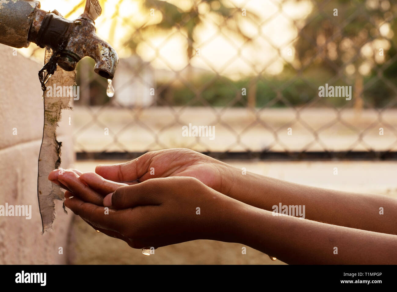 Closeup of hands, child drinking water directly from corporation tap water in India. Stock Photo