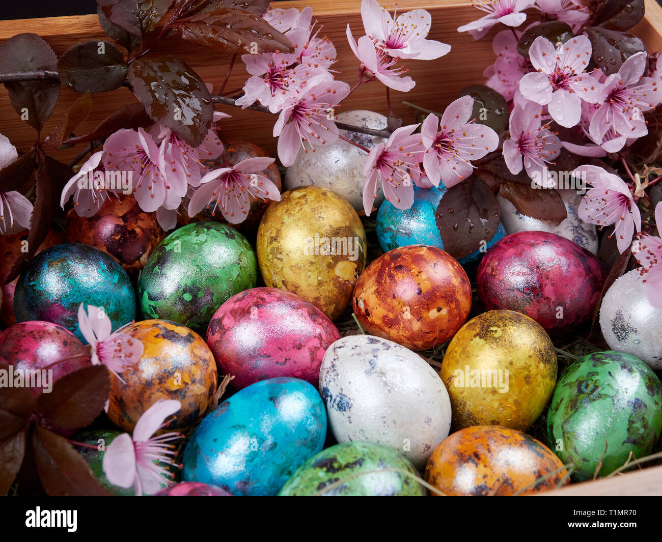Colorful quail Easter eggs in a wooden box, on a bed of hay, with flowering branches of purple leaf plum tree Stock Photo