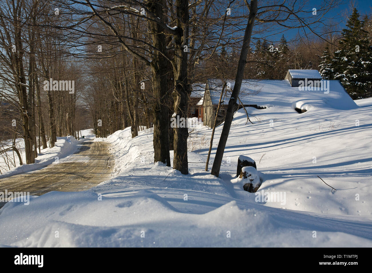 Albany vt hires stock photography and images Alamy