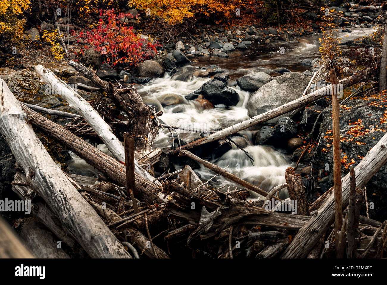 Waterfall in Long exposure shoot during a hiking on Bear Creek trail in Kelowna, British Columbia, Canada, Okanagan - Image - Photography Stock Photo