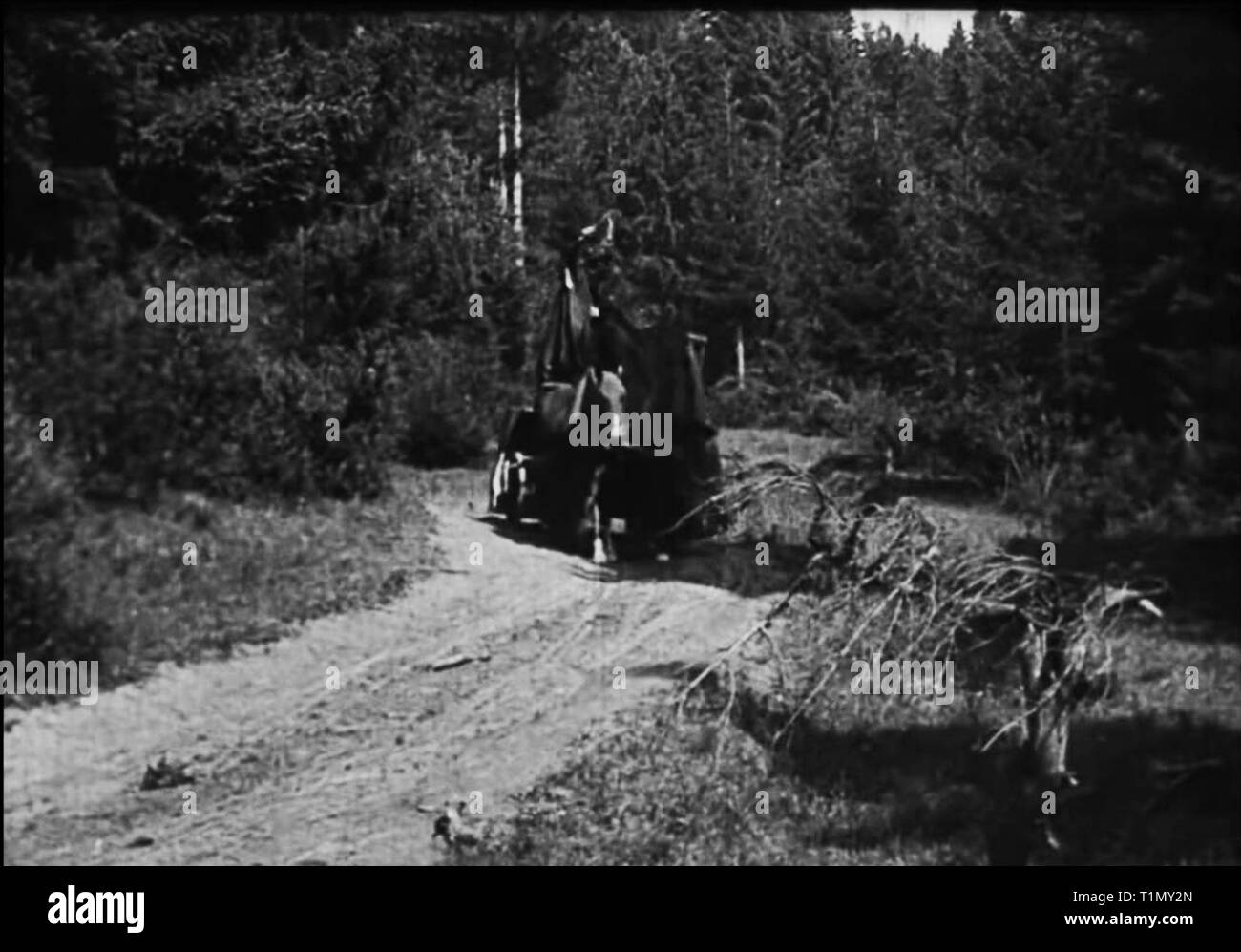 Nosferatu 1922 vintage movie screen Stock Photo - Alamy