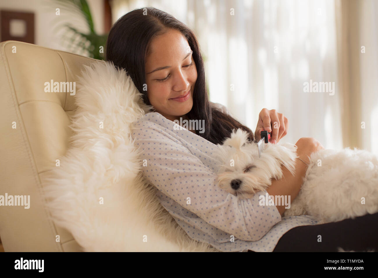 Smiling young woman brushing sleeping dog Stock Photo