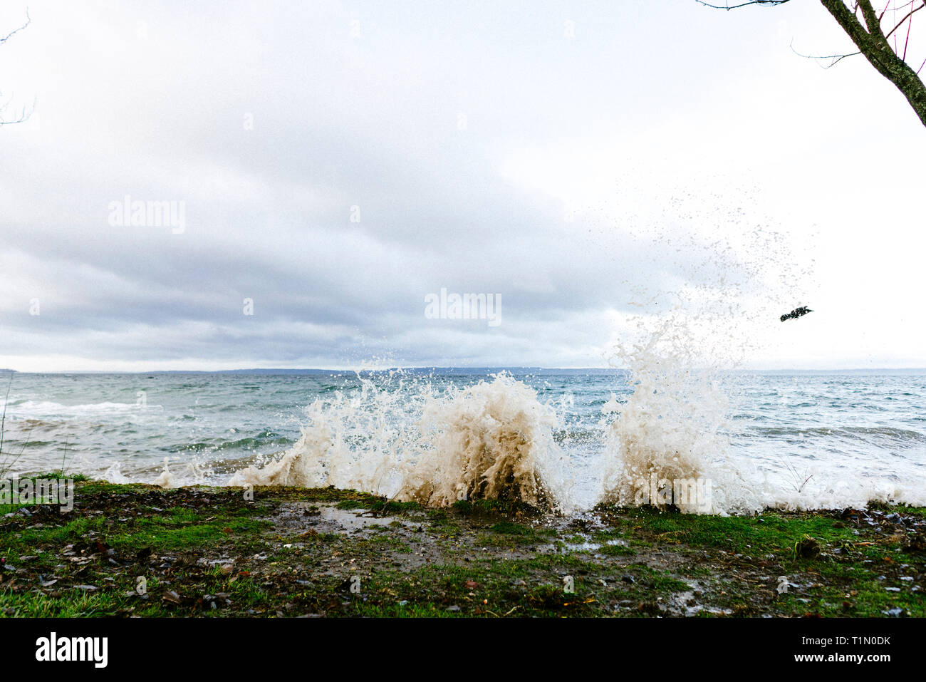 Waves from a king tide crash into the shore Stock Photo