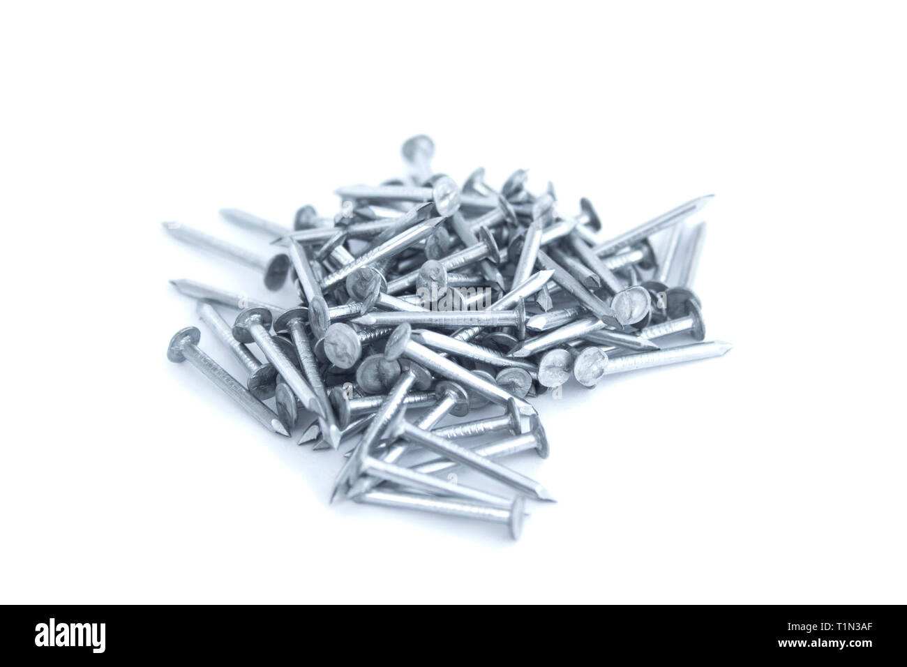 New silver colored nails isolated on white background. Nails on white. Construction and building concept. Work symbol. Grey nails isolated Stock Photo