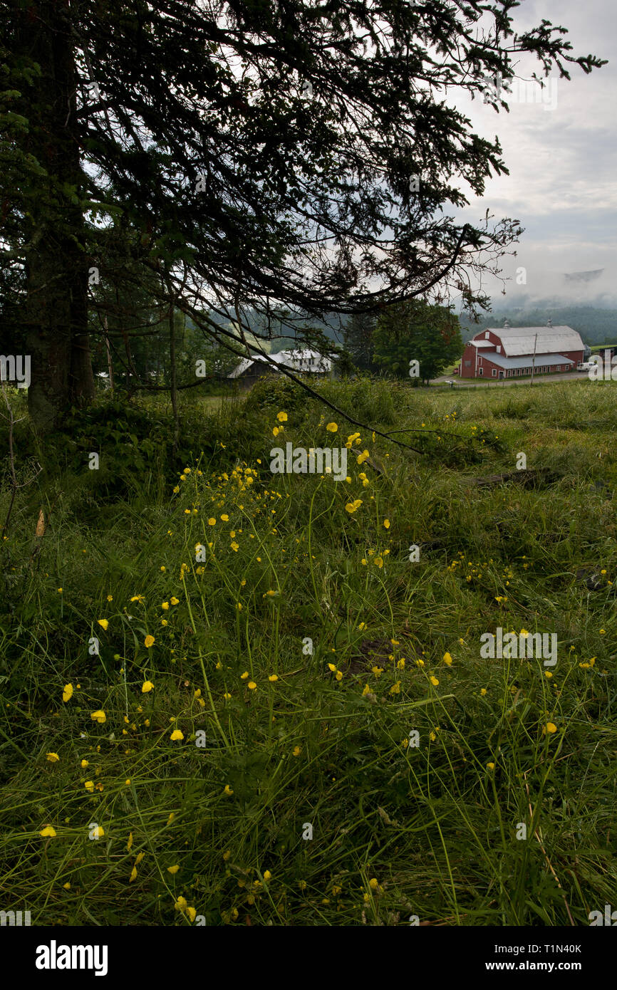 Kirby, Caledonia County, Vermont, USA Stock Photo Alamy