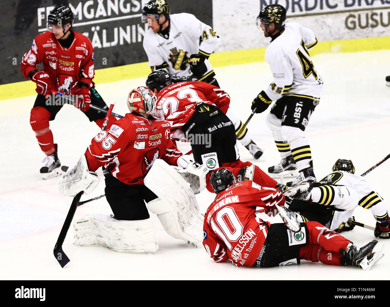 Vita Hästen : Timrastjarnan Back After Injury With Brilliant