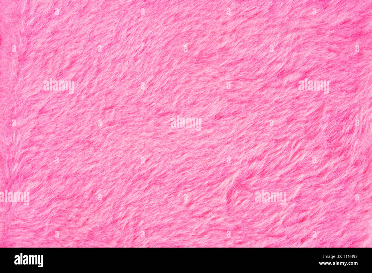Pink fur texture close up. Pink fluffy fur background Stock Photo