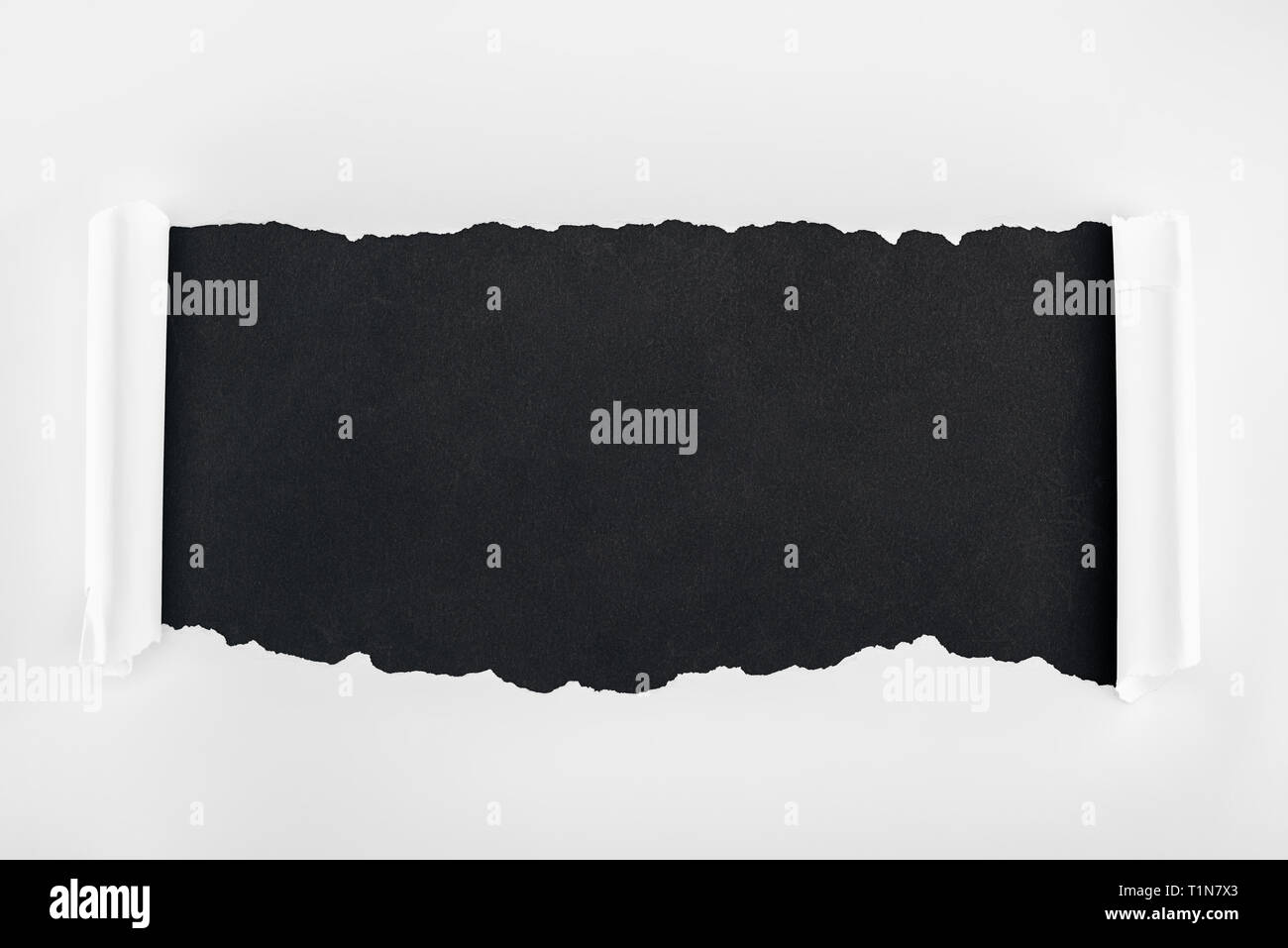 ragged textured white paper with curl edges on black background Stock ...