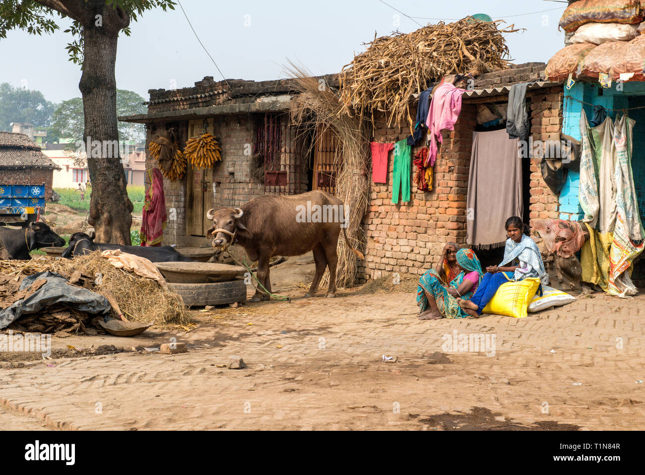 RAJMAHAL, BIHAR, INDIA-, a group of women sitting in front of their houses watching the traffic passing by. Stock Photo
