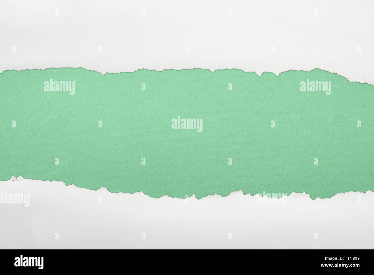 ragged white textured paper with copy space on green background Stock ...