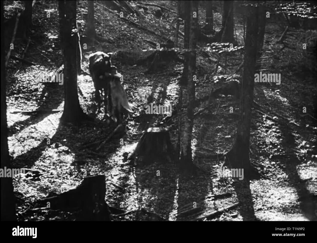Nosferatu 1922 vintage movie screen Stock Photo - Alamy