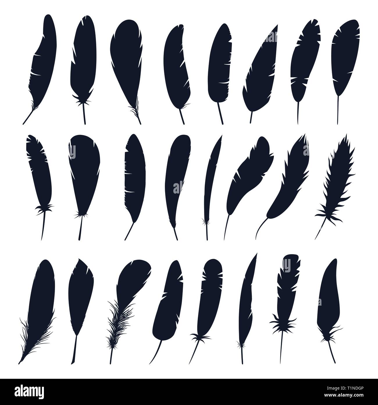 Set of isolated feather silhouette of bird.Plumage Stock Vector