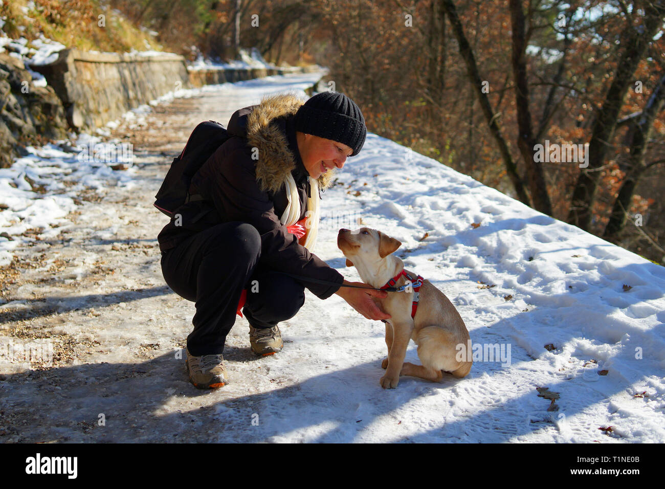 43/5000 A woman during a winter walk with her dog. Stock Photo