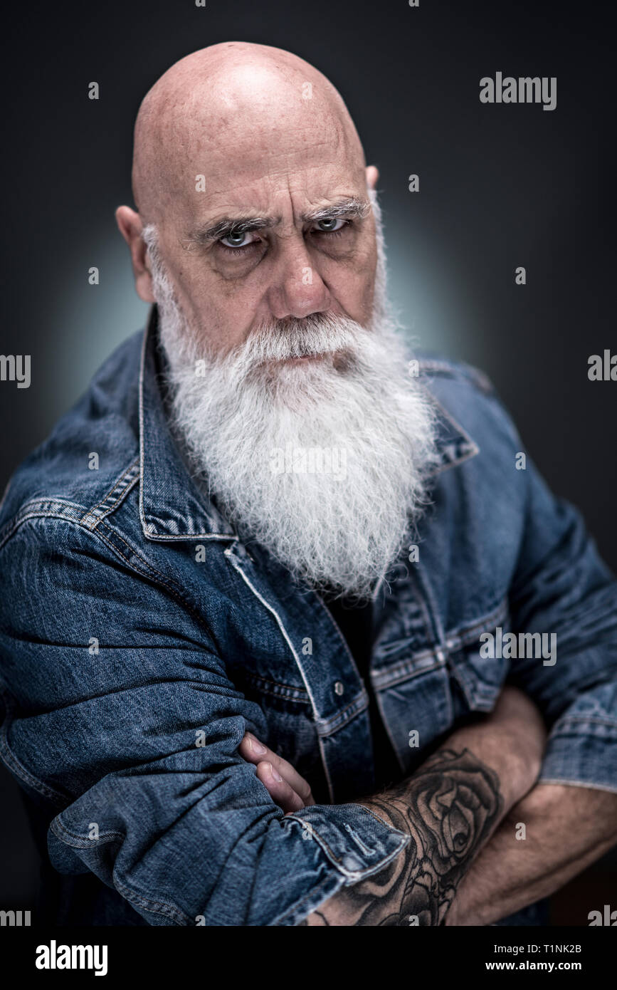 studio portrait of a bald man with tattooed arms and white beard Stock Photo