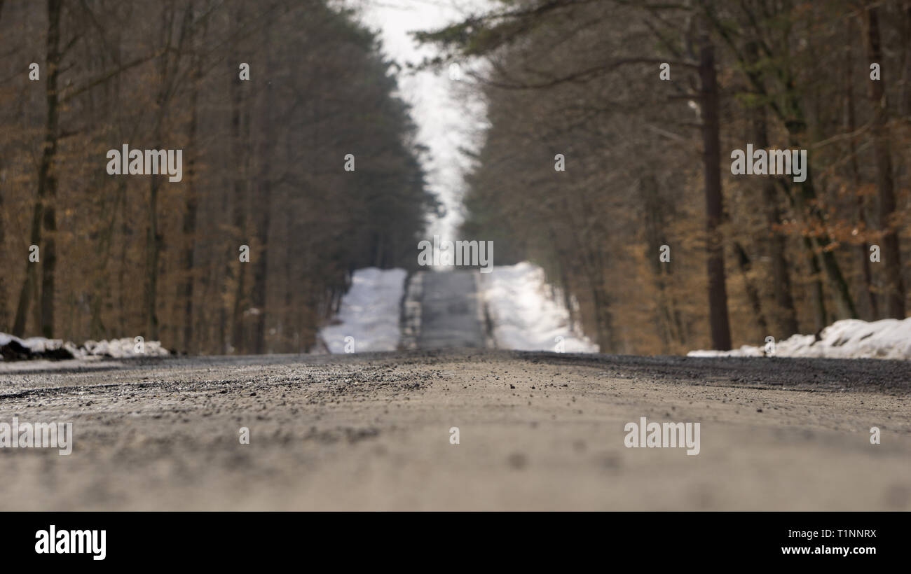 Lonely road in forest hi-res stock photography and images - Alamy
