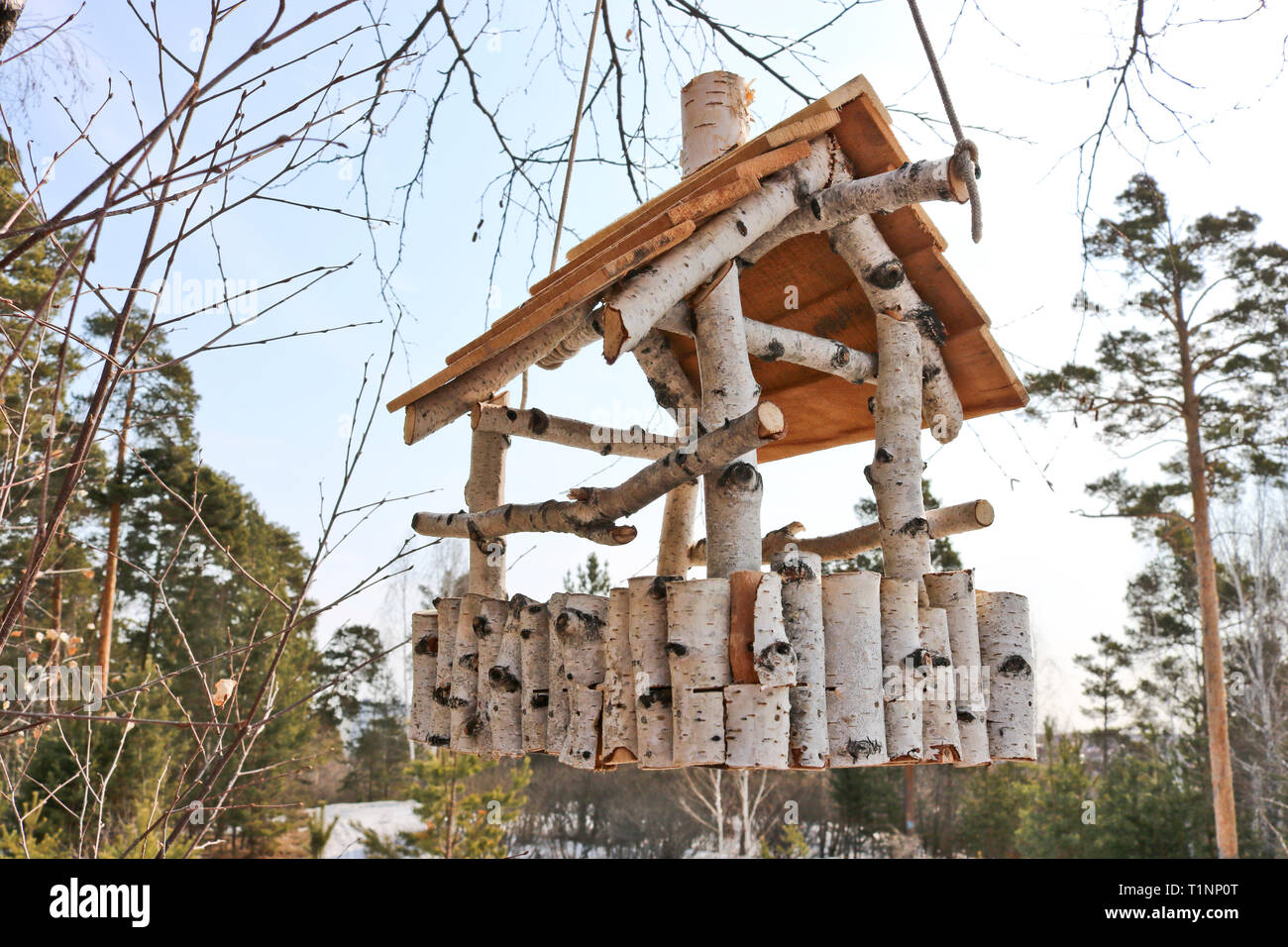 Unusual Bird Feeder Made From Birch Branches Stock Photo
