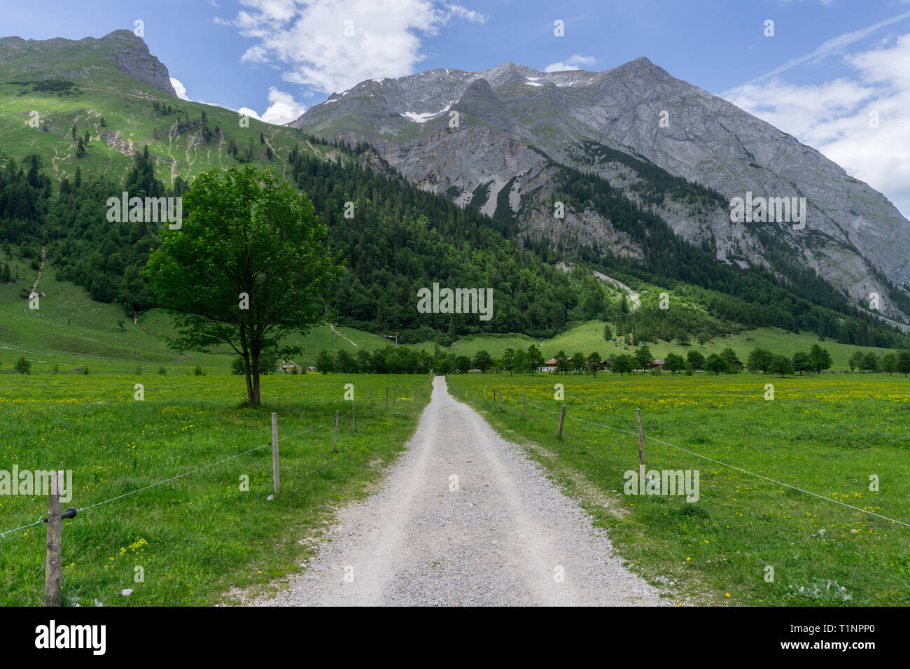 Dirt road in the Austrian Alps Stock Photo - Alamy