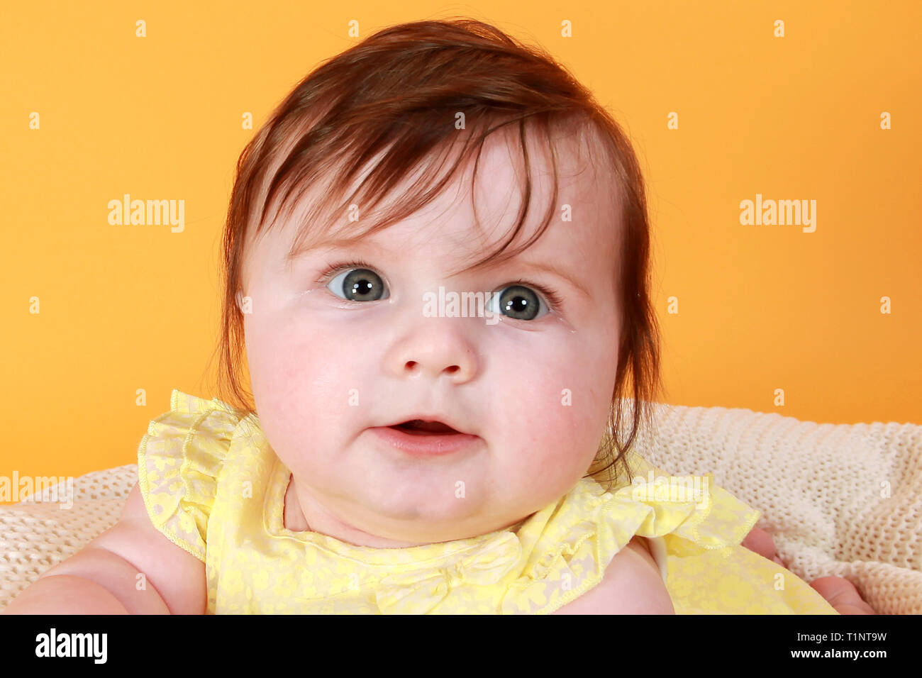 6-month-old-baby-girl-stock-photo-alamy