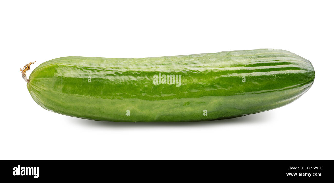 Cucumber isolated on whitebackground Stock Photo - Alamy