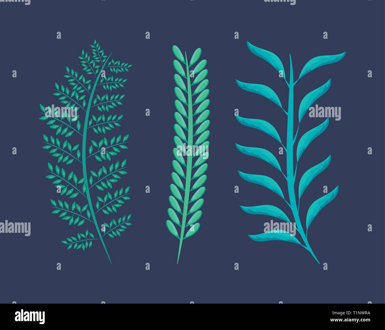 set of branches with leafs natural vector illustration design Stock ...