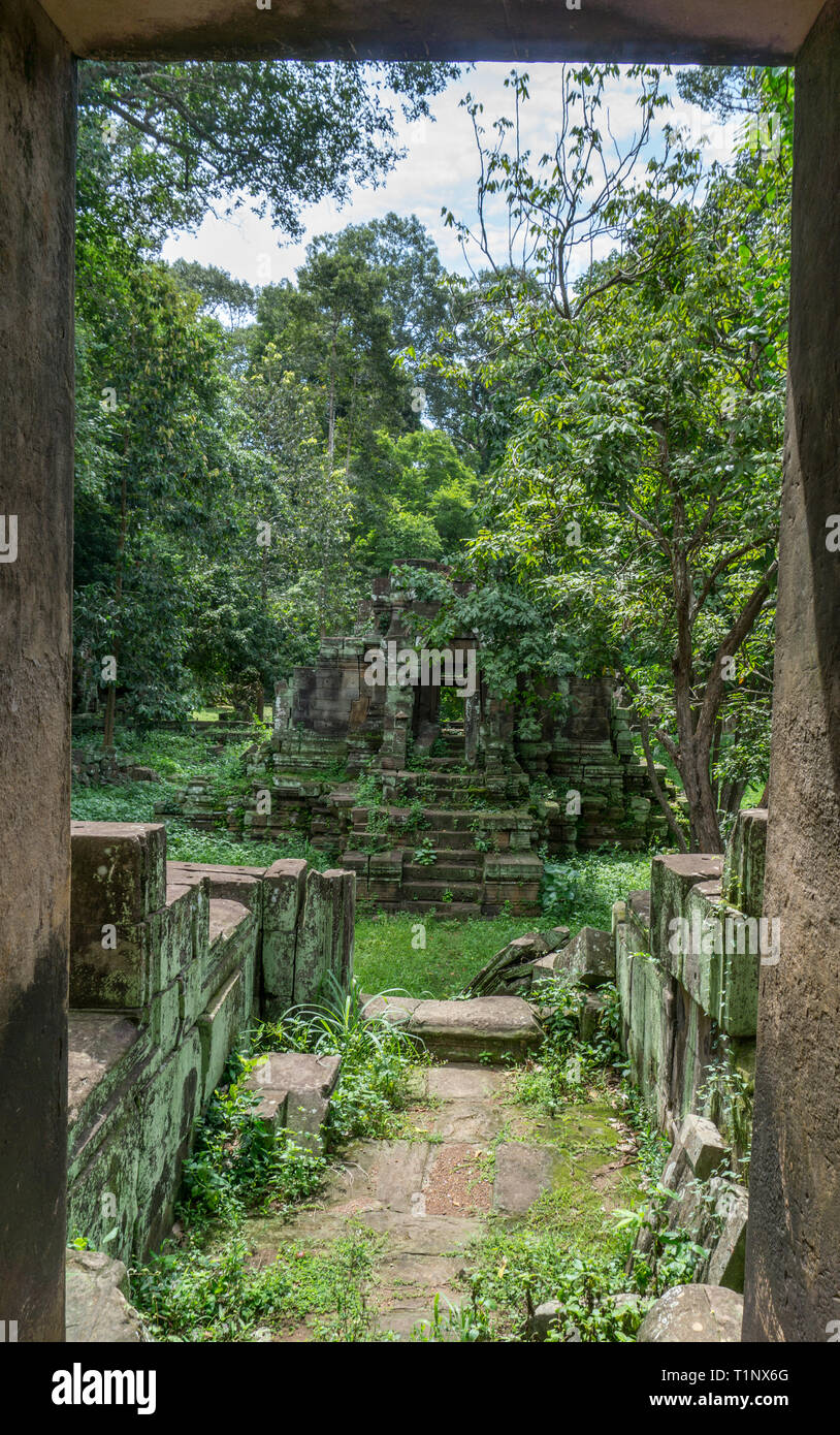 Ruins overgrown with lush jungle vegetation and moss in a beautiful ...