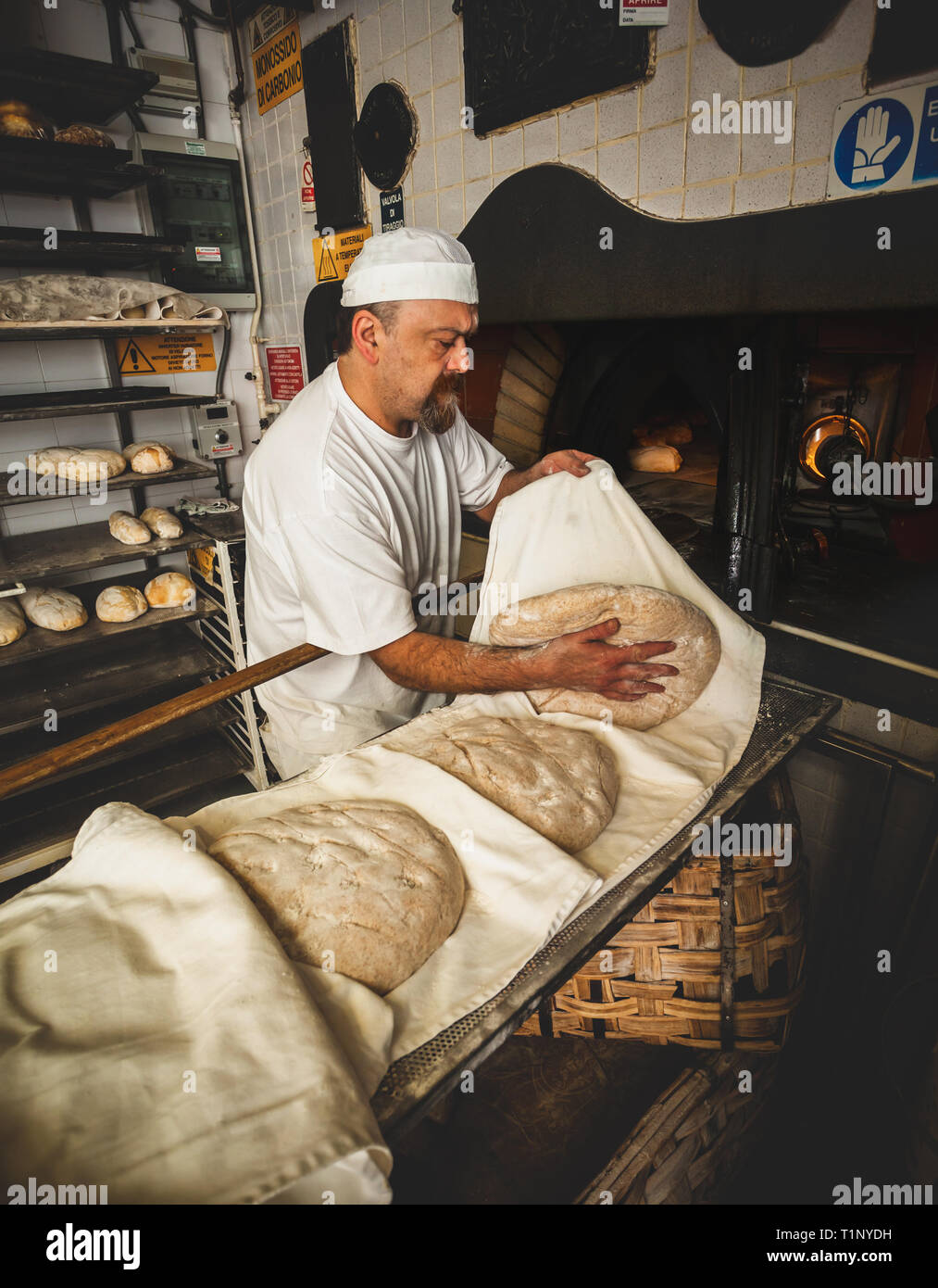 Daily production of bread baked with wood oven with traditional method. Stock Photo