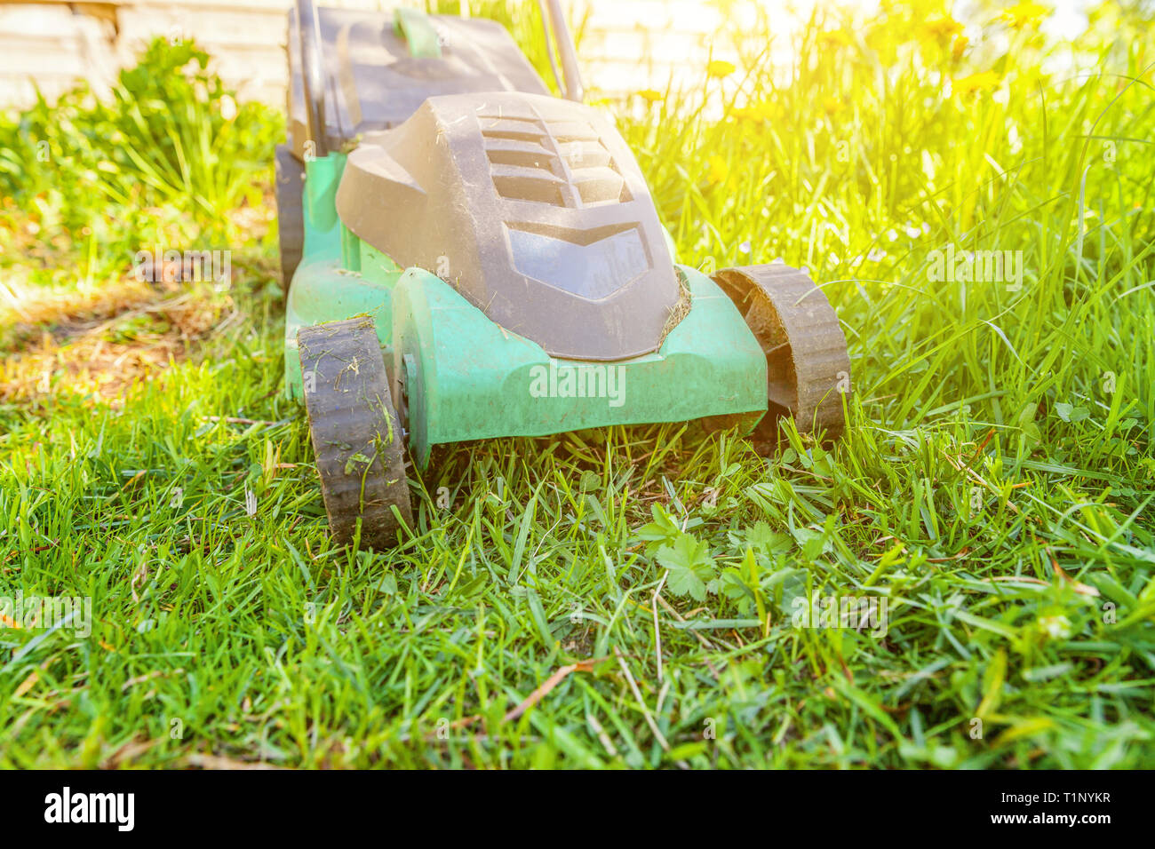 Same day lawn mowing new arrivals