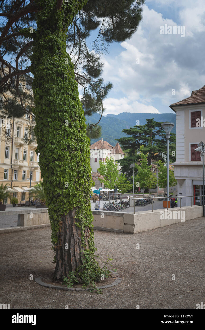 Streets of Merano, Italy Stock Photo