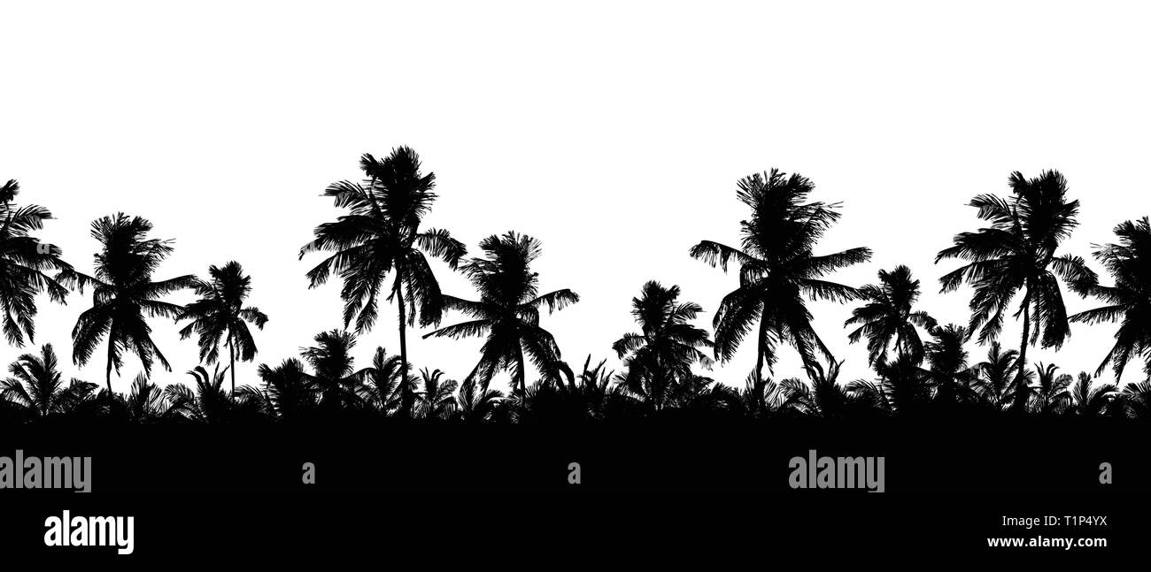 Pattern or background with realistic silhouette of tree tops, tropical palm trees, isolated on white background with space for text - vector Stock Vector