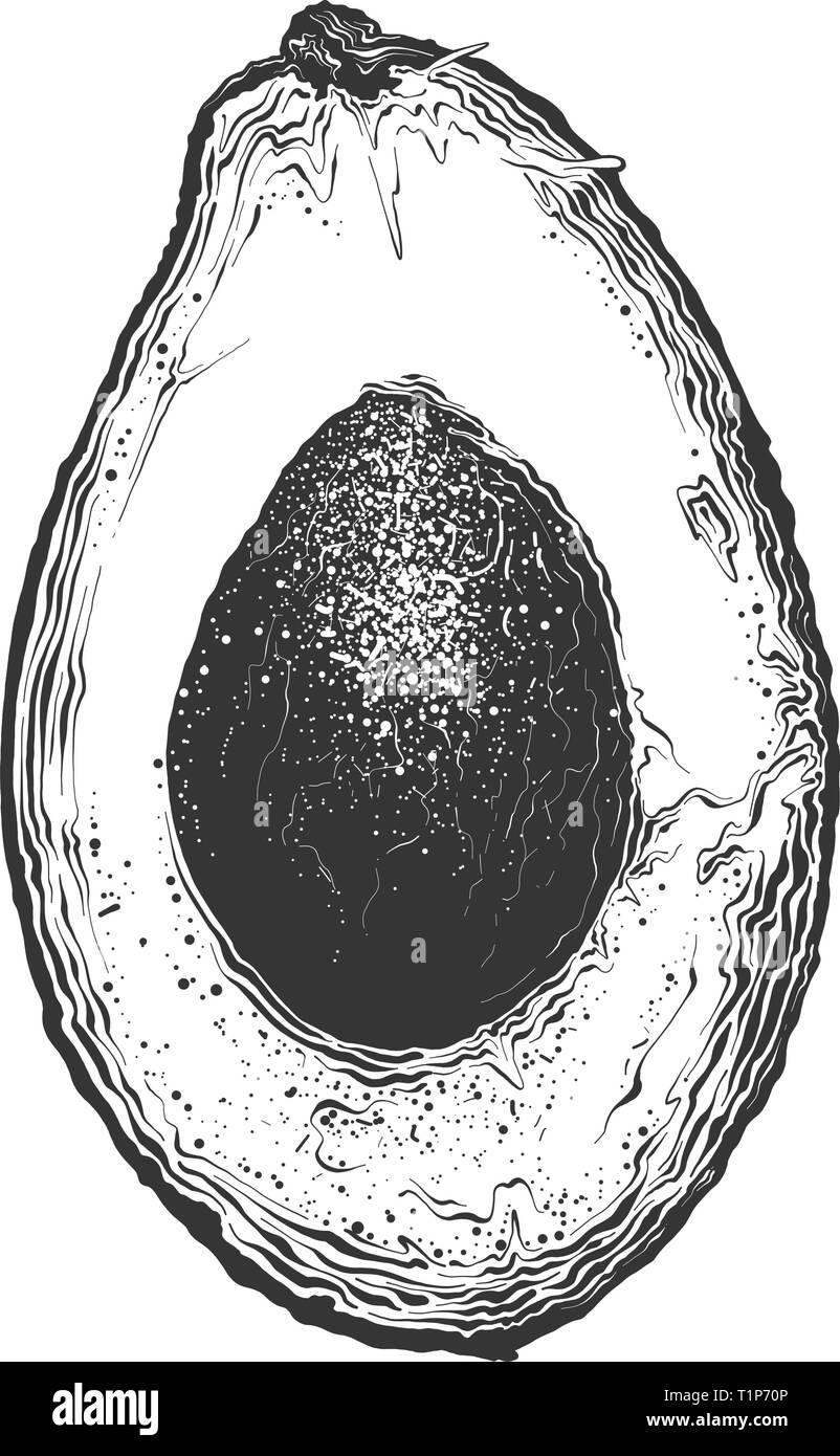 Hand Drawn Sketch Of Half Avocado In Black Color Isolated On White Background Drawing For Posters Decoration And Print Vector Illustration Stock Vector Image Art Alamy