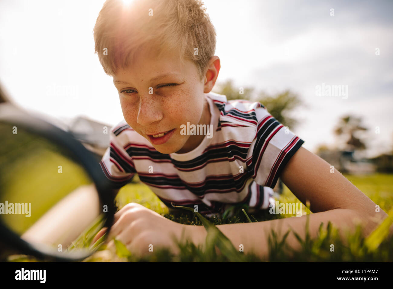 Boy looking through magnifying glass on a sunny day. Caucasian boy exploring garden with his magnifying glass. Stock Photo