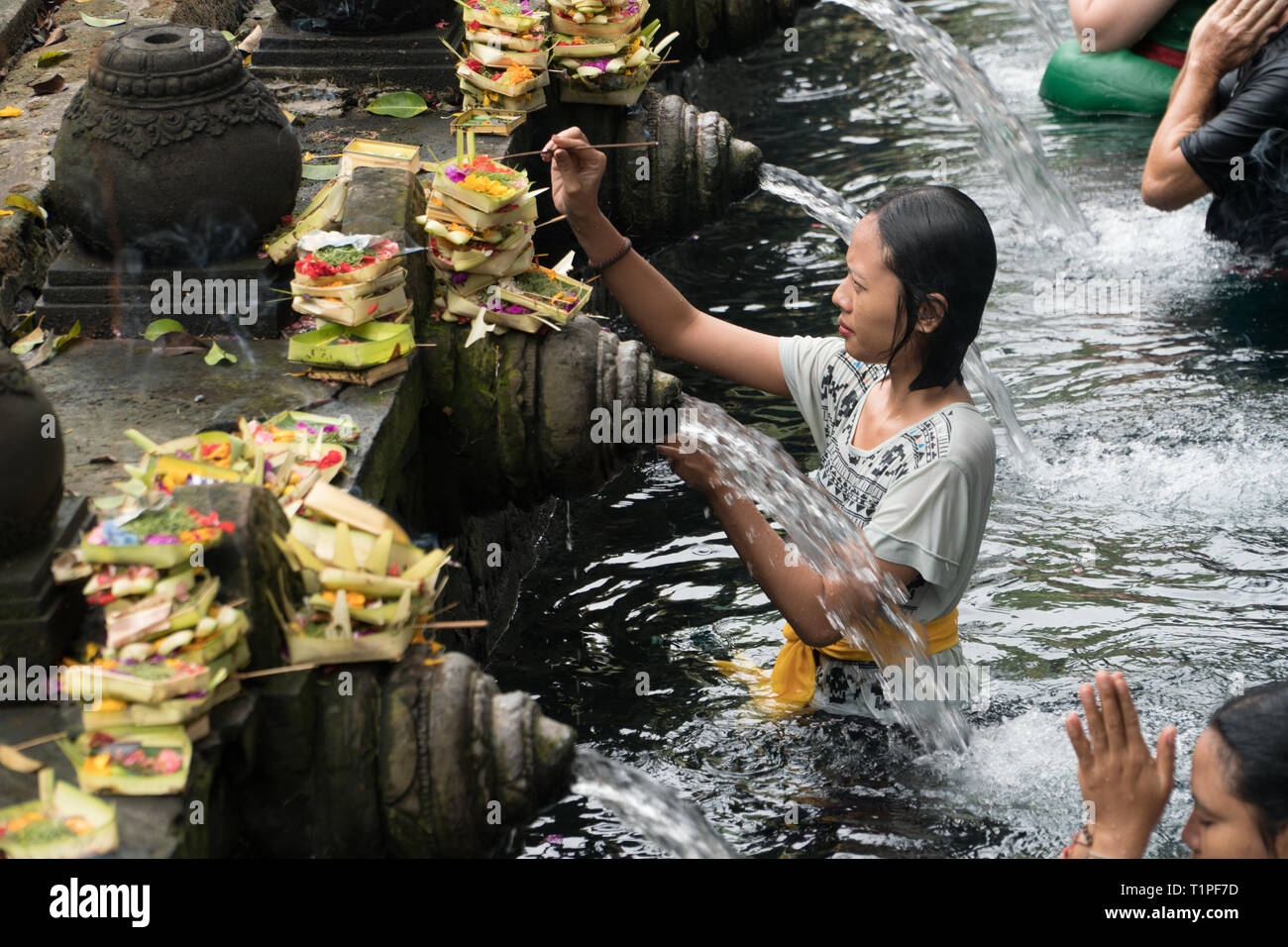 Bali, Indonesia - January 22, 2019: Woman Praying At The Holy Spring ...