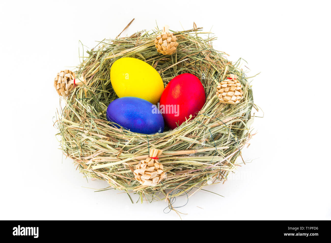 colored easter eggs in grass nest with bumps Stock Photo