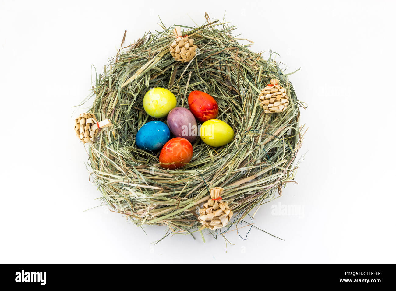 colored easter quail eggs in grass nest with bumps Stock Photo