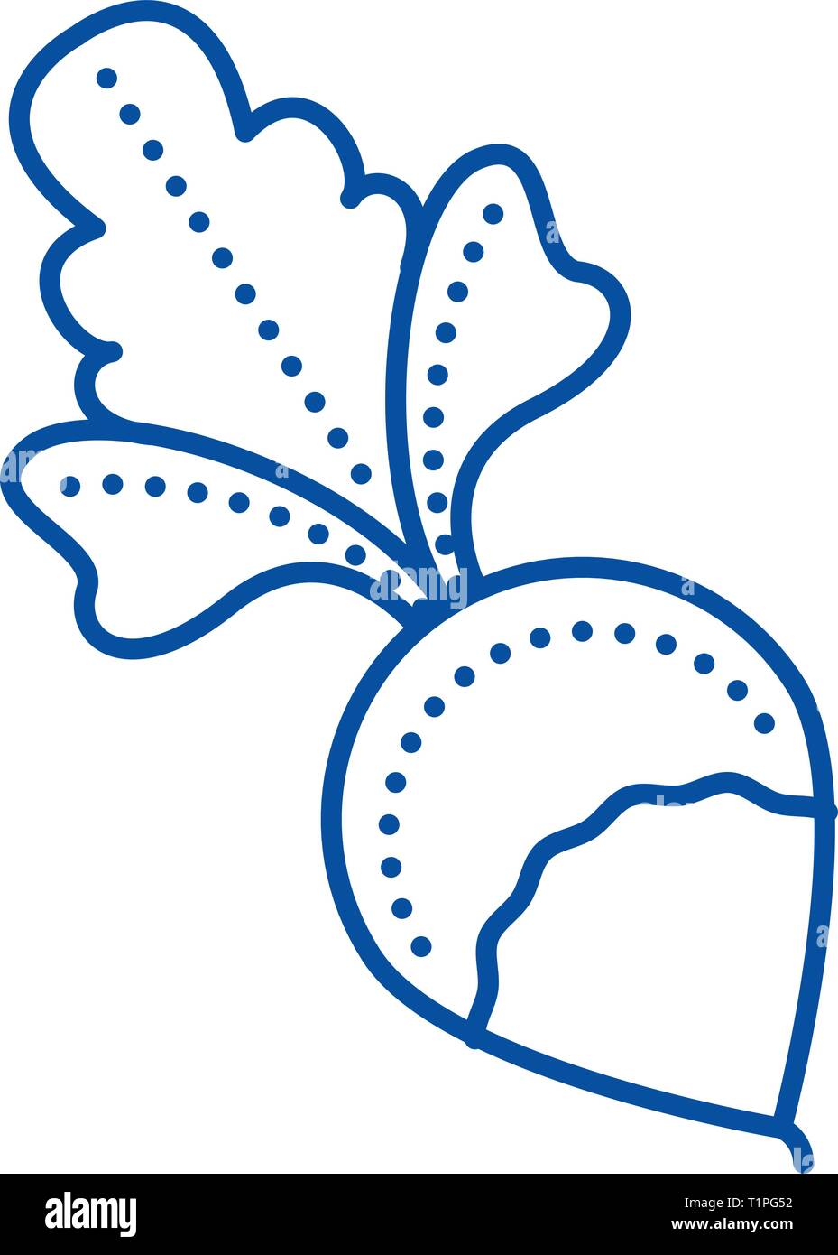 Radish line icon concept. Radish flat vector symbol, sign, outline