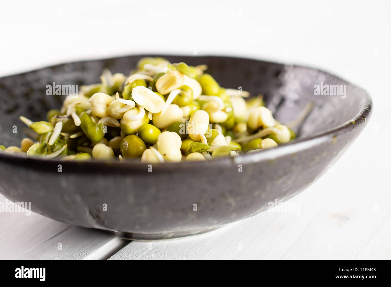 https://c8.alamy.com/comp/T1PM43/lot-of-whole-fresh-green-bean-sprouts-mungo-in-a-grey-ceramic-bowl-on-white-wood-T1PM43.jpg