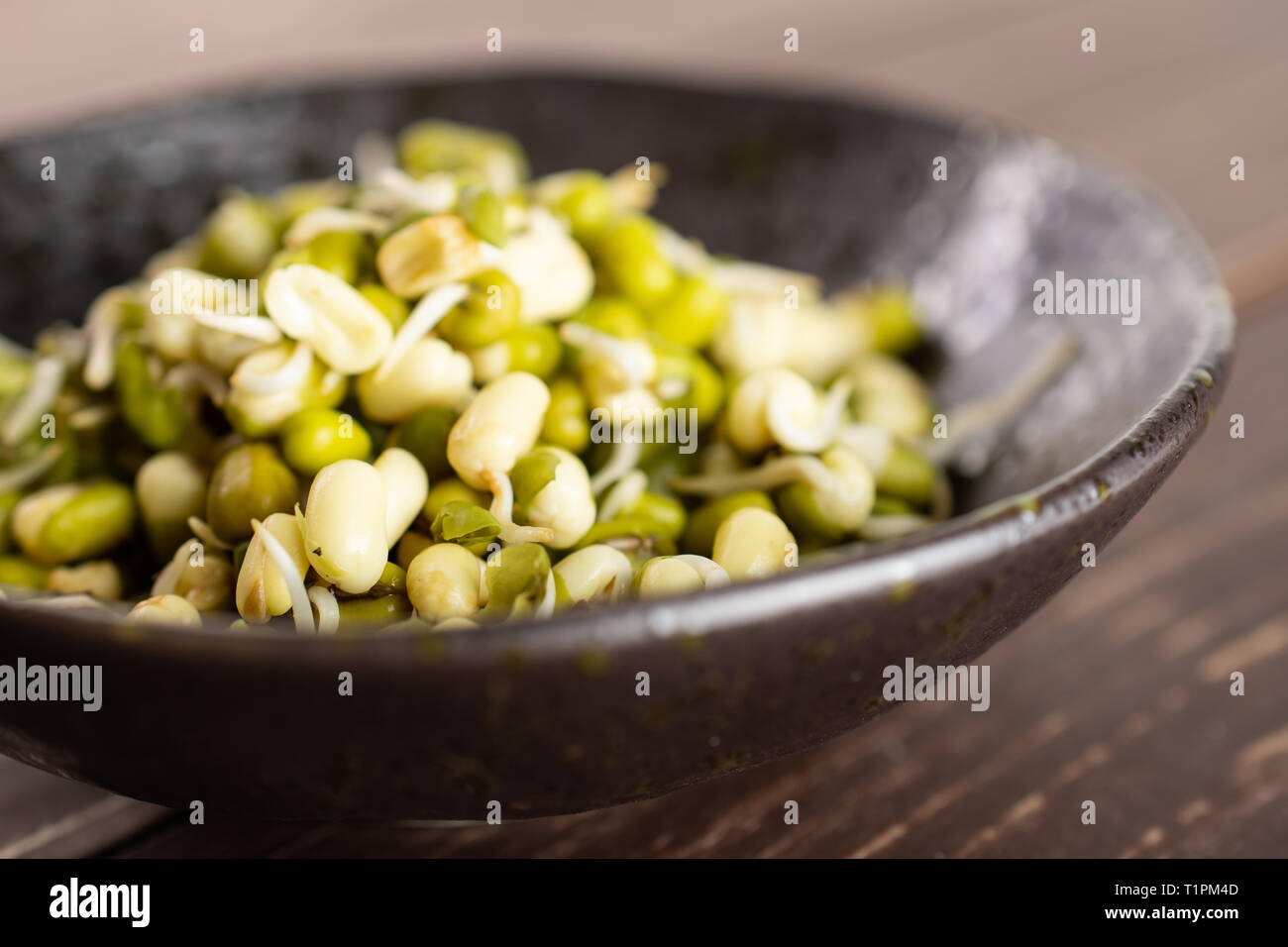https://c8.alamy.com/comp/T1PM4D/lot-of-whole-fresh-green-bean-sprouts-mungo-in-a-grey-ceramic-bowl-on-brown-wood-T1PM4D.jpg
