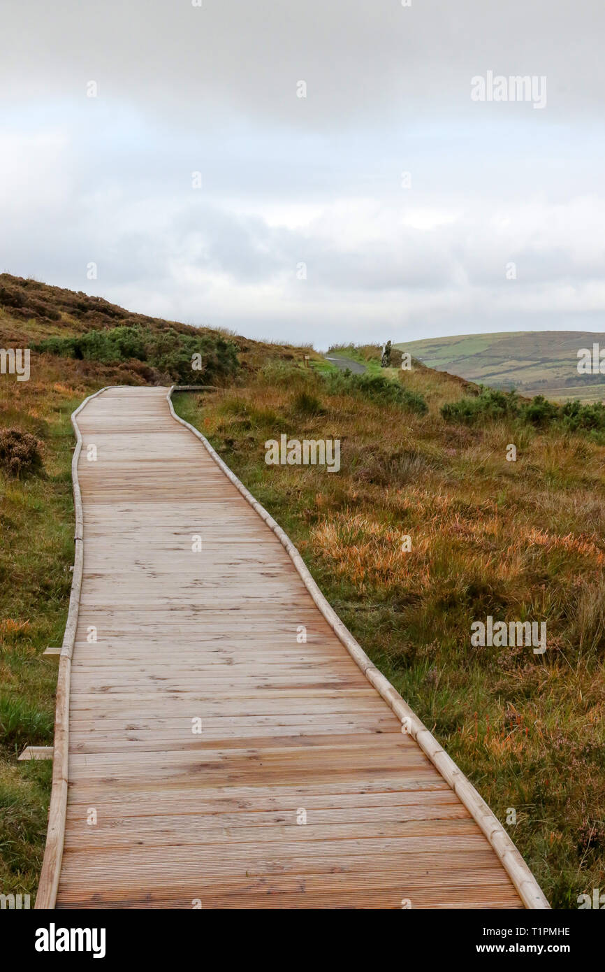 Wooden boardwalk across a peat bog in Ireland. the boardwalk is part of