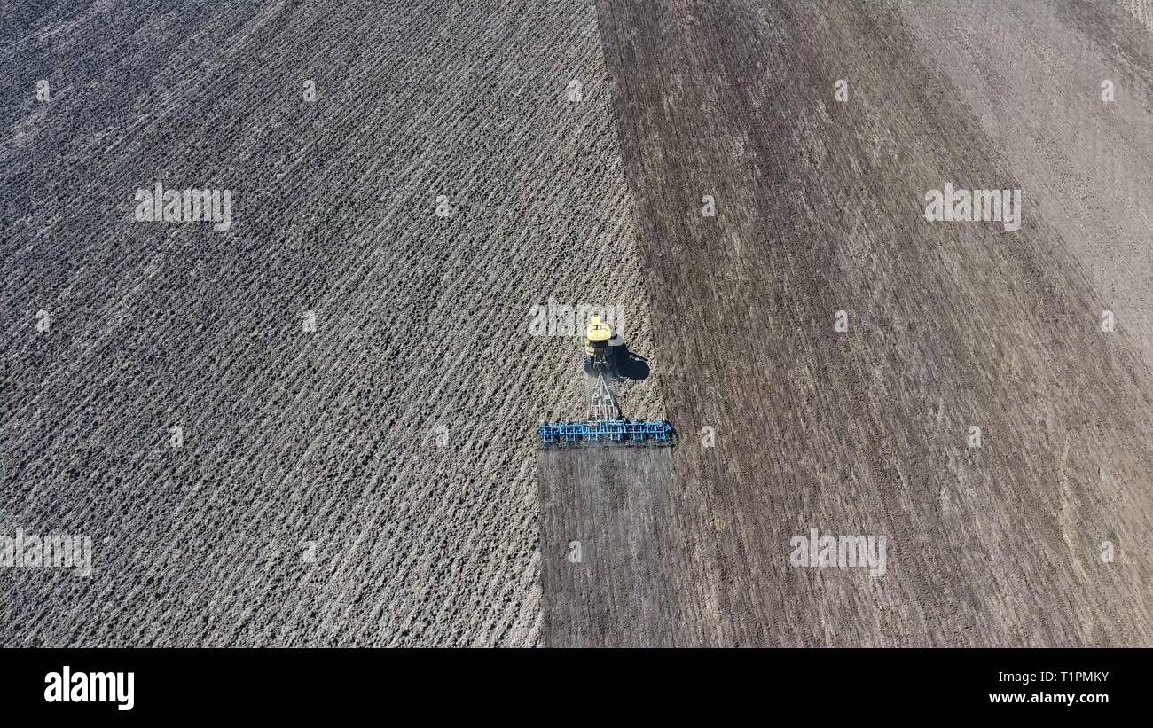 The tractor harrows the soil on the field for sowing. Spring soil