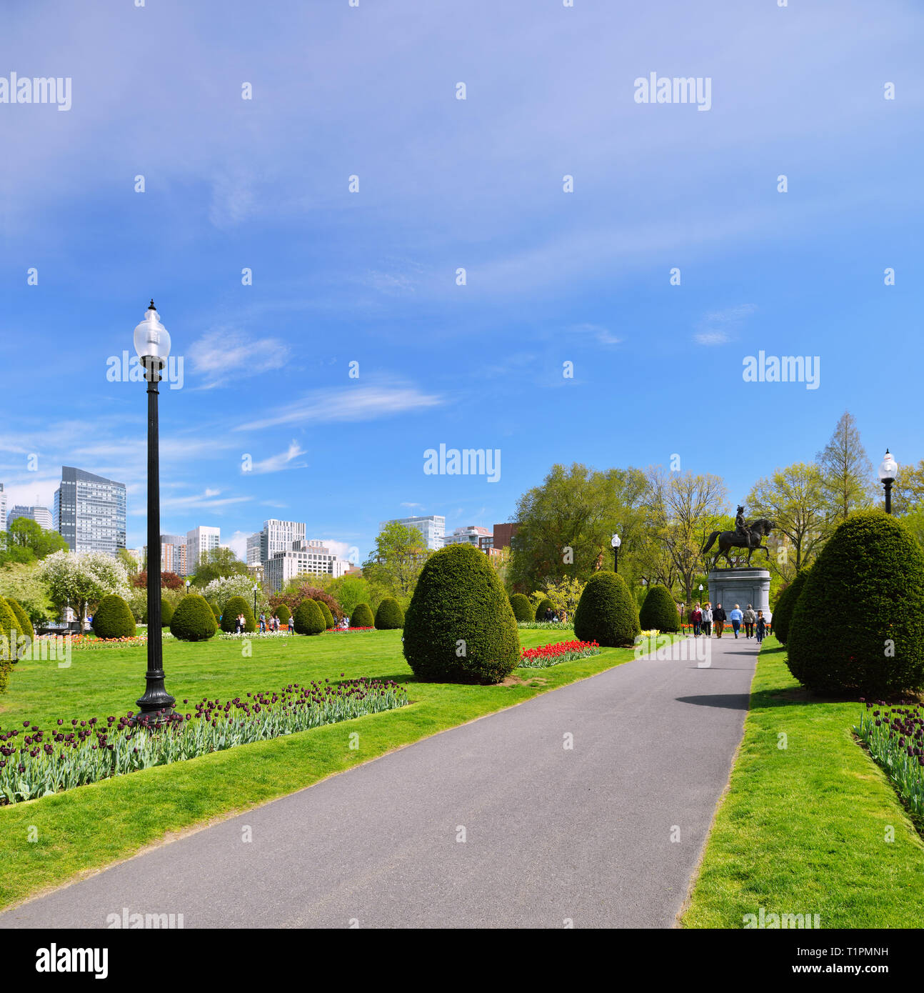 Boston Public Garden and city skyline in the spring Stock Photo