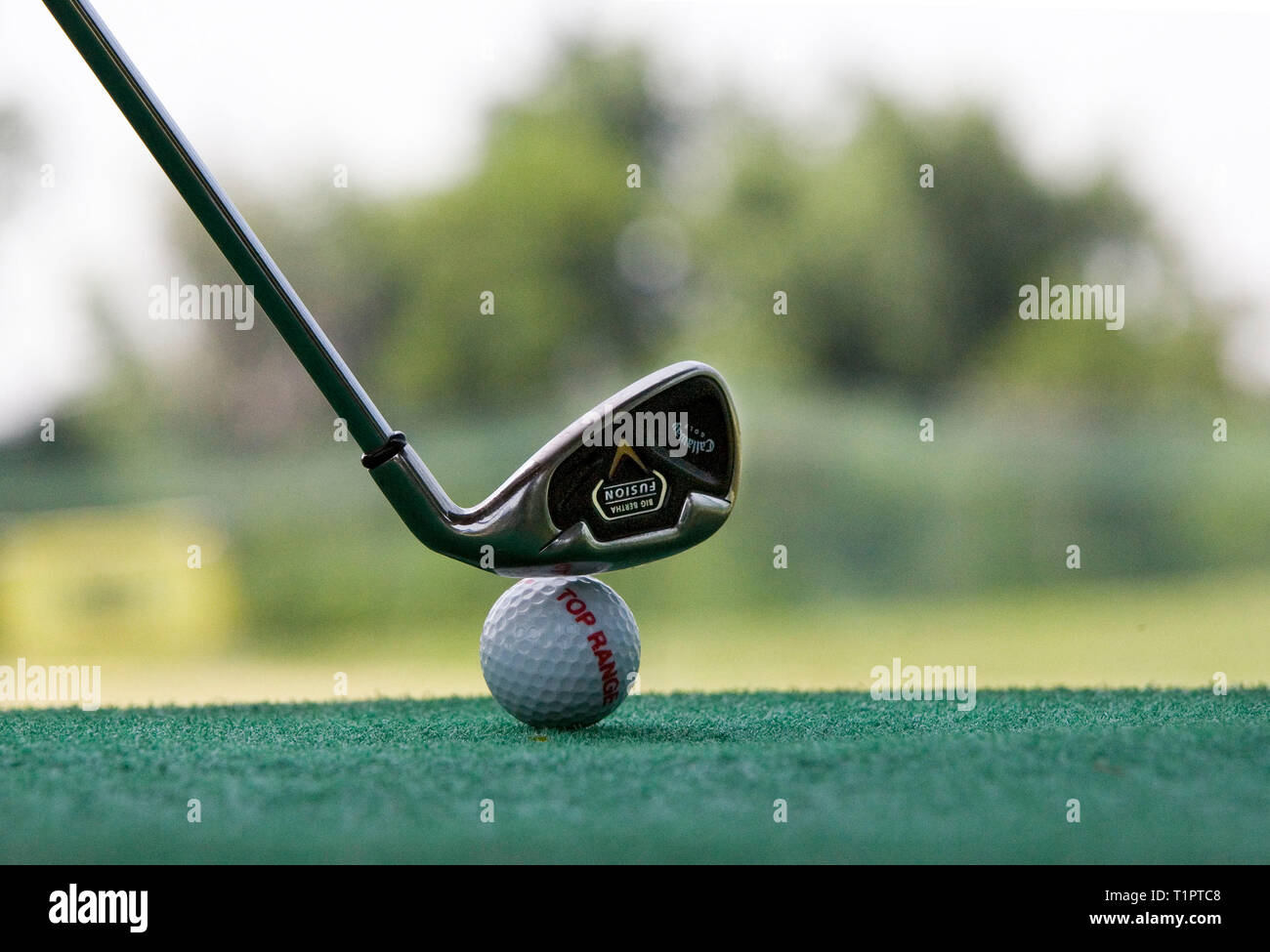 golf driving range Stock Photo Alamy