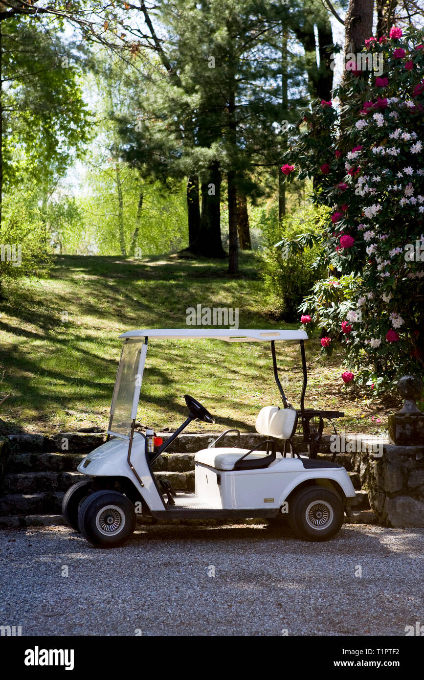 Golf Car Stock Photo