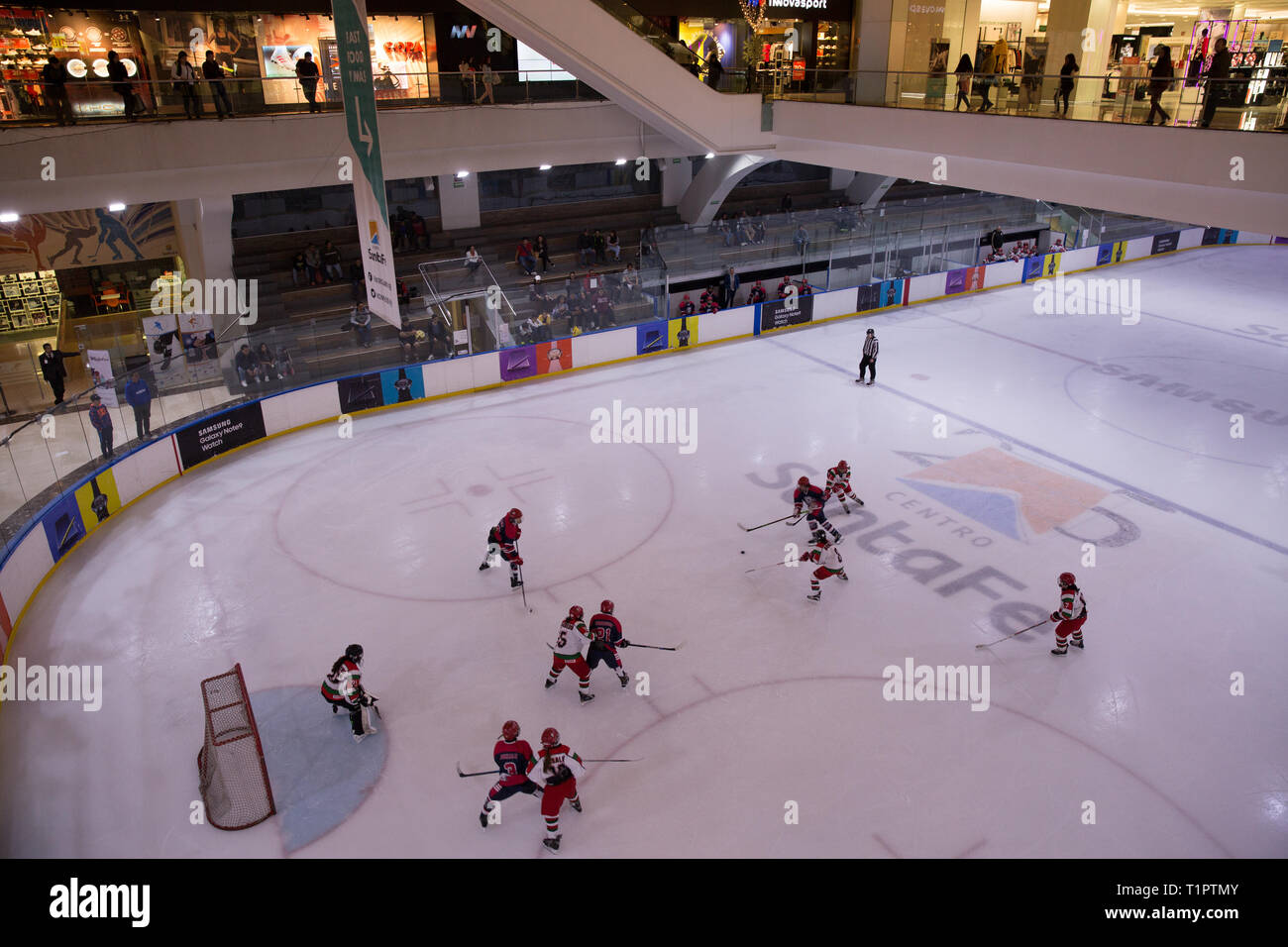The Seleccion Femenil De Mexico De Hockey Sobre Hielo Plays