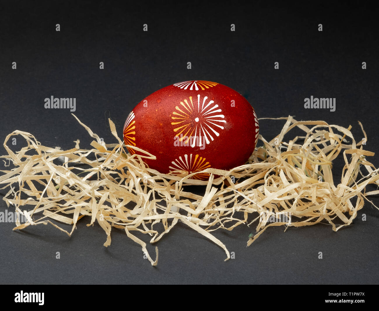 Wax resist red, white and yellow dyed traditional lithuanian Easter egg  in the straw on a black background. Close-up. Stock Photo