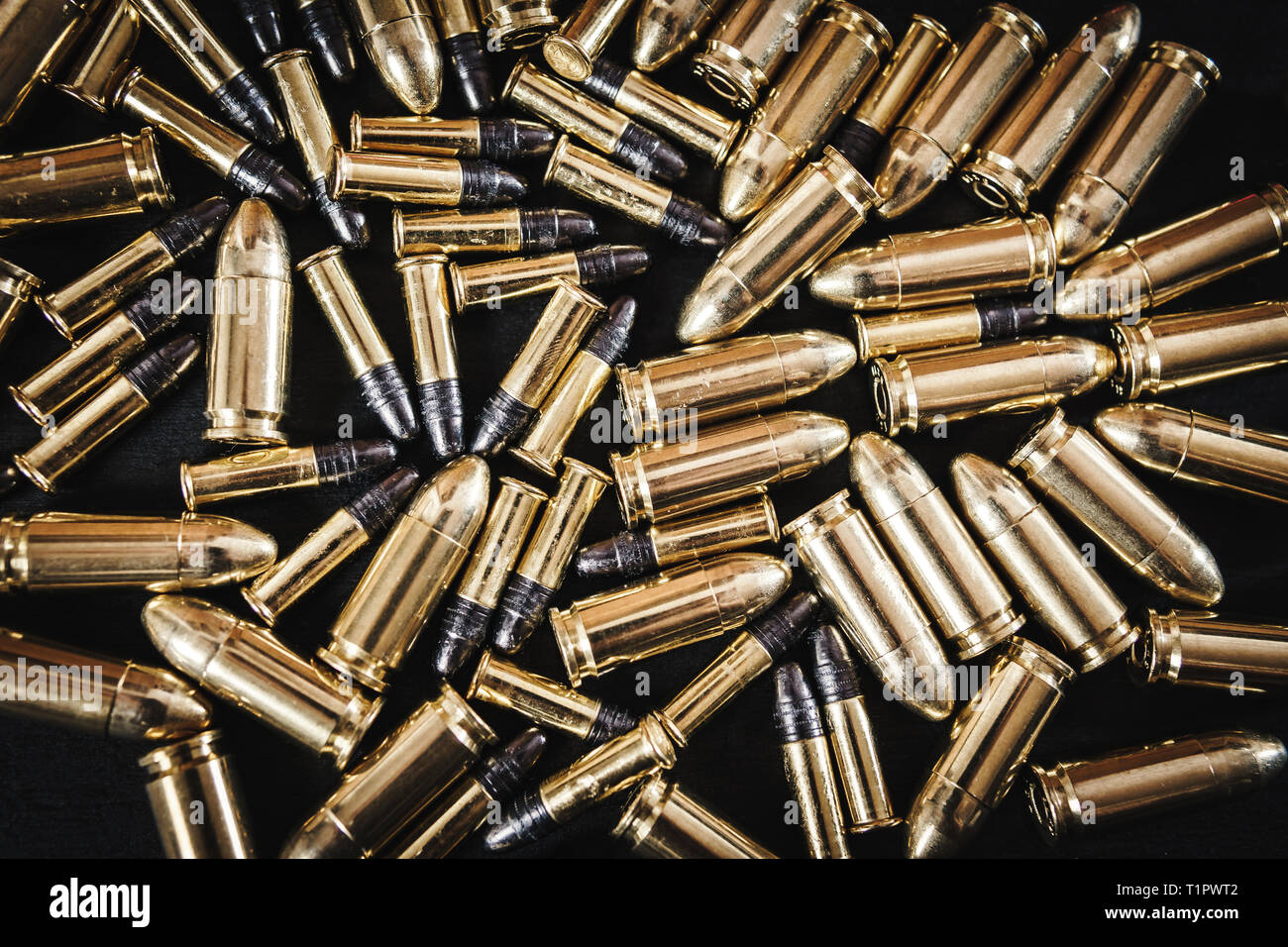 Shells placed on a table hi-res stock photography and images - Alamy