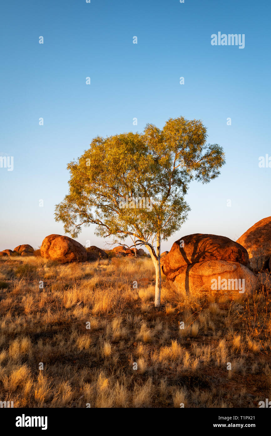 Famous granite boulder of Devils Marbles at Stuart Highway. Stock Photo