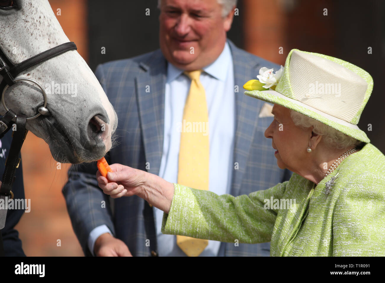 Adding name horse queen elizabeth ii hires stock photography and