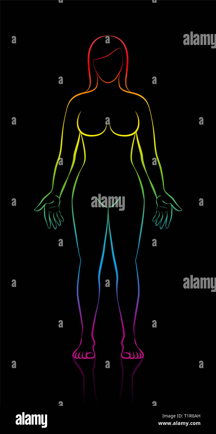 Female body outline hi-res stock photography and images - Alamy